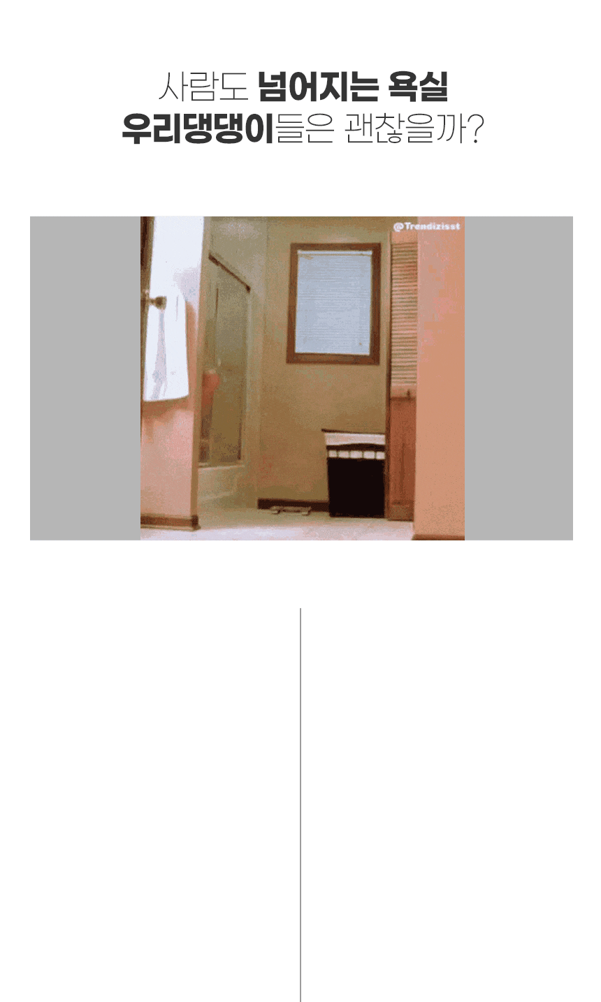 282d896835e067bf372534b711e868e0_1736817303_94.gif
